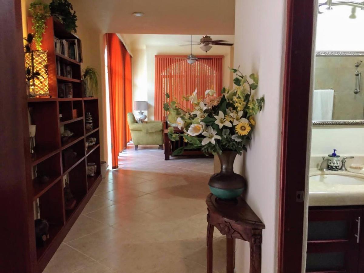 Casa Beard, Spacious Guest House With High Speed Wifi & Pool. Playa del Carmen Exteriér fotografie